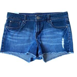 STS‎ BLUE Denim Shorts Jr Women 9 Blue Ombre Wash Distressed Cut Off Raw Hem
